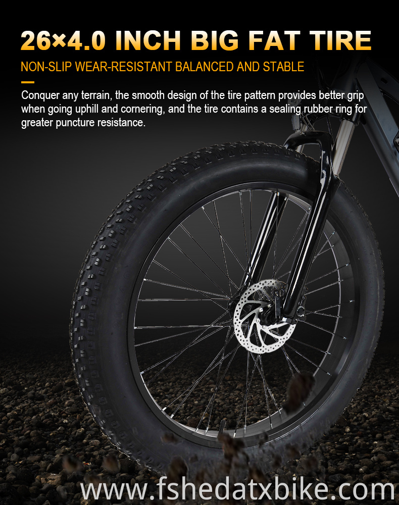 Brushless Motor Electric Fat Tire Bike